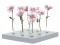 vase-gift-ideas-600x600