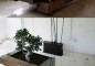 bonsai-coffee-table-600x956